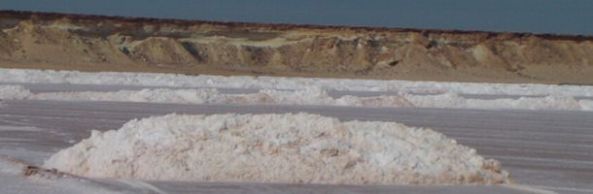 Sahara Occidental  - Page 6 Salt_610